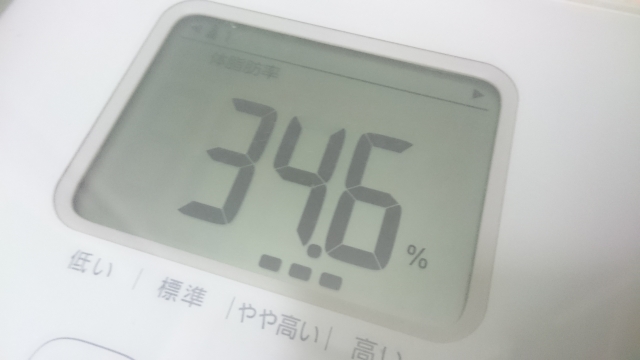 ダイエットに成功するためには効率的に体脂肪を減らすことが重要